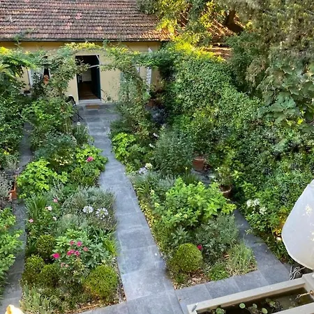 Charming Apt In San Frediano アパート *